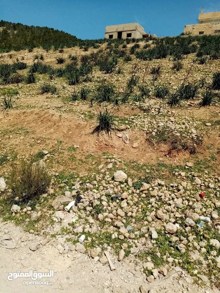 Land for sale for residential construction. Mrs qrybt mn tqat jsr albqt wabw nsyr. 